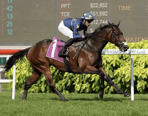 Lim&rsquo;s Kosciuszko looking for first Australian victory