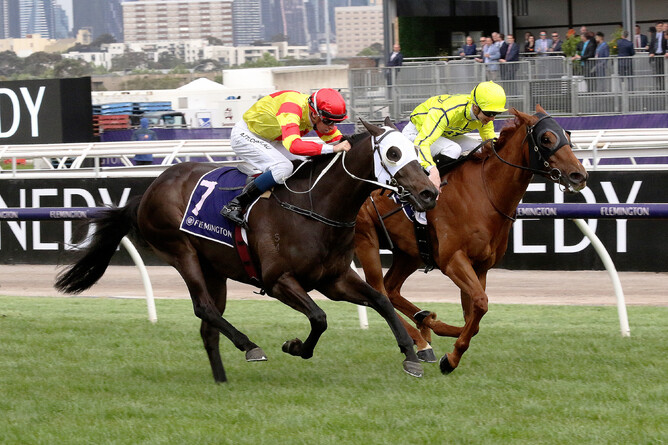Savaheat (white hood) fights off Mr Money Bags at Flemington - Darryl Sherer