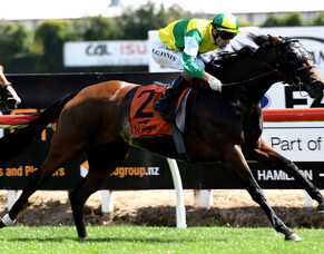 James and Wellwood to the fore at Te Rapa