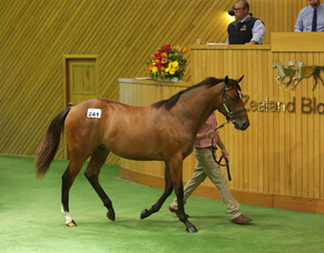 Lucrative day for Trelawney