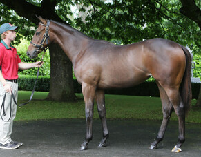 Aussie double for Trelawney