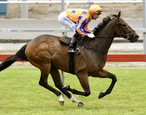 Sword of Osman ready for raceday return