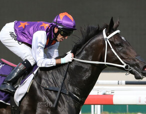 War Affair completes comeback run