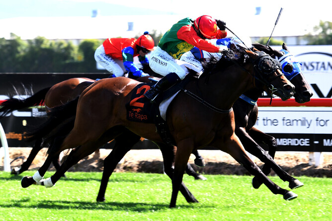 Cheaperthandivorce and Danielle Johnson prevail after a torrid tussle in the Gr.3 SKYCITY Hamilton Waikato Cup (2400m) - Photo: Kenton Wright, Race Images