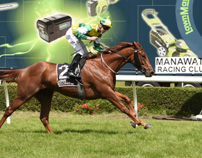 Starting gate stumble no barrier to Beauden