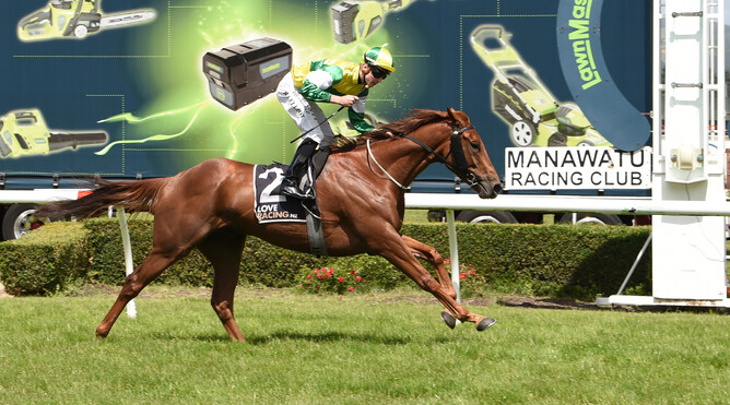 Beauden streaks clear at Awapuni Photo credit: Race Images – Grant Matthew