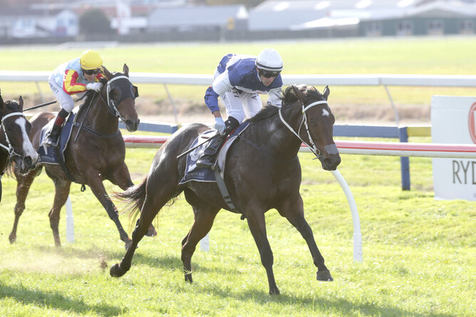 Campari winning second up this campaign - NZ Racing Desk