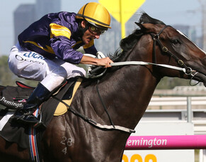 Grunt to resume for new owners