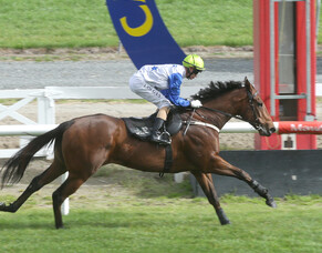 Pike picks Trelawney horses for Queensland