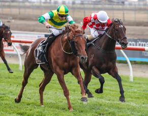 Beauden at his best in Riccarton victory