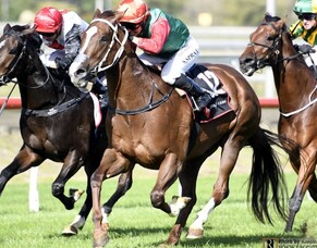 Red Senna gets her maiden win