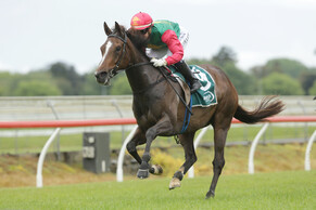 Igraine seeks further Cups success