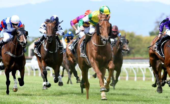 Beauden dashes clear to take out the Listed Japac Homes FastTrack $5k Marton Cup (2200m) Photo credit: Race Images – Grant Matthew