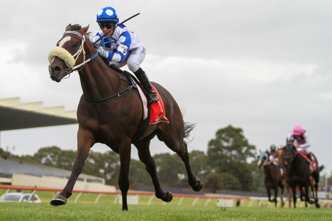 Hennessy Lad heads to the winning post at Sandown - Photo: Bruno Cannatelli