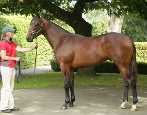 Heir of Tavistock breaks maiden