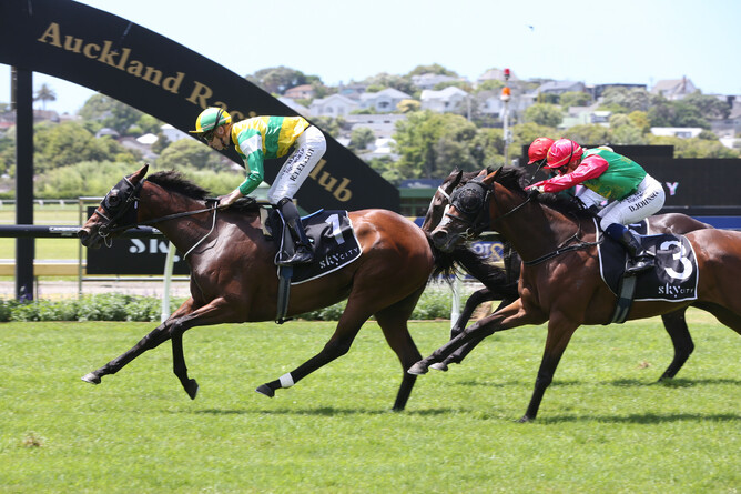Concert Hall winning the Gr.3 City of Auckland Cup (2400m) at Ellerslie on New Year’s Day.  - Photo: Trish Dunell