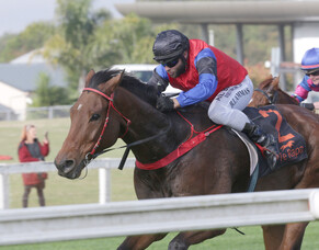 Grand National winner on track for first jumping feature