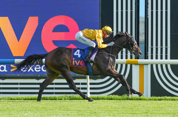 Shanwah bolts in at Caulfield - image Scott Barbour / Racing Photos / Breed Net