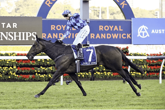 Photo - racingnews.co.nz