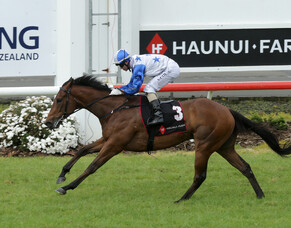 Pike duo ready for New Year's test