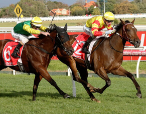 Caulfield rain a blessing for Reilmartini