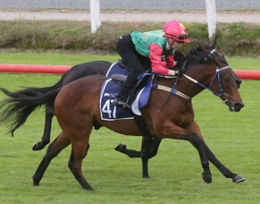 Trelawney &amp; Ready to Run Breeze Ups: Jockeys Spot the Future Stars