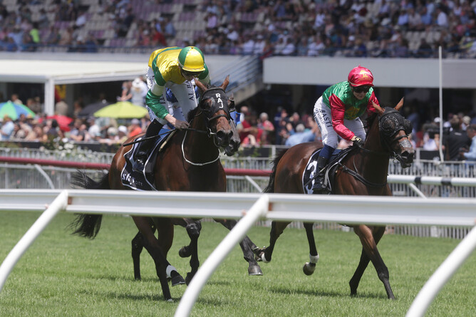 Ryan Elliot guides Concert Hall to victory at Ellerslie - Photo: Trish Dunell