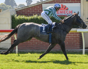 Emily heads winning Saturday