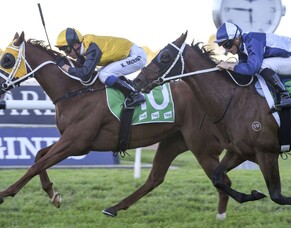 Trelawney-bred stars in Sydney