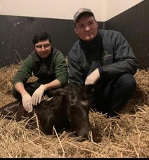 Nathan Trumper - Blog 3