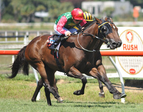 Filly making up for lost time