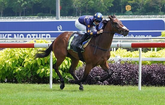 Lim's Kosciuszko makes it four from four with another win in Singapore. - Photo: STC