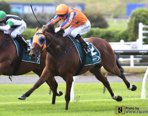 Prise De Fer posts win on Derby Day