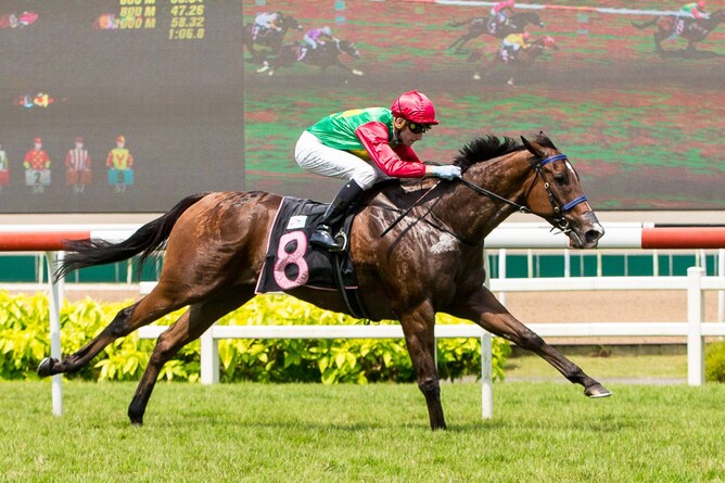 Strap Marks on his way to victory at the Singapore Turf Club on Sunday night - Tripeaksimagery