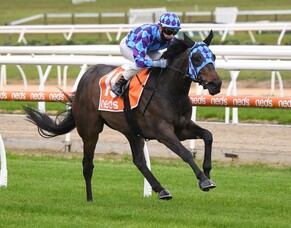 Pride of Jenni clears maiden ranks