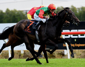 Pareanui Bay proves too tough in Te Rapa feature