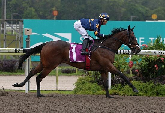 Lim's Kosciuszko bolts in on the polytrack in Singapore. - Photo: STC