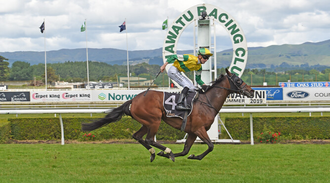 Ryan Elliot has time to celebrate as Concert Hall is well clear in the Gr.3 Aberdeen On Broadway Manawatu Cup (2300m) Photo credit: Race Images – Peter Rubery