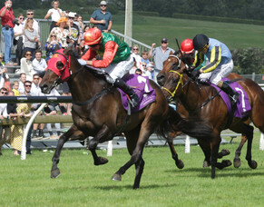 Trelawney mare scores decisive win at Ellerslie