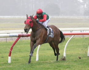 Vinevale gets new partnership off to a flyer