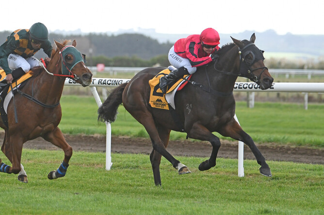 Promising stayer Seajetz races clear for rider Lisa Allpress at Hawera - Photo: Race Images