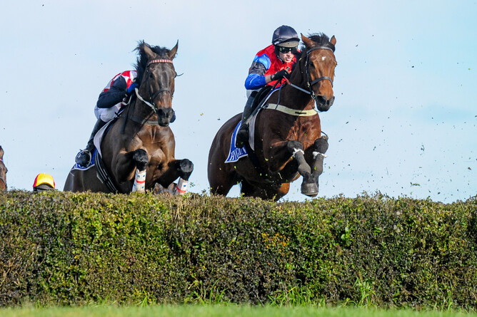 Shamal (right) will contest the Racecourse Hotel Grand National Steeplechase (5600m) at Riccarton on Saturday.  - Photo: Brett Holburt (Racing Photos)