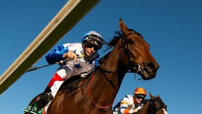 The Bostonian wins G1 Kingsford Smith Cup