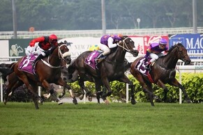 War Affair returning to Singapore