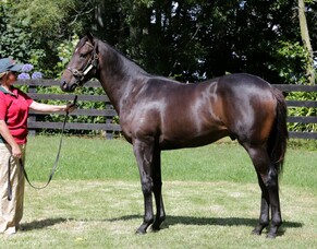 Travancore too strong at Canterbury