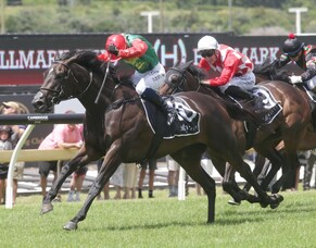 Vamos Bebe scores stakes win