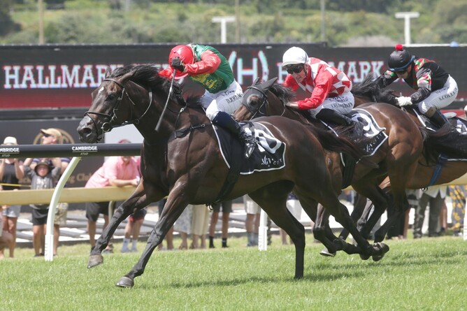 Vamos Bebe downs Vigor Winner to take out the Listed Hallmark Stud Sprint (1200m) at Ellerslie Photo: Kirstin Ledington