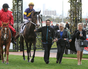 Dual Group One winner Grunt retired to stud