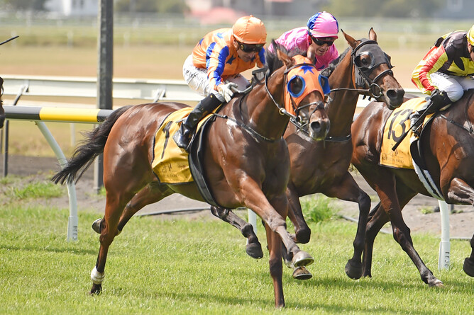 Prise De Fer winning the Gr.3 Taranaki Cup (1800m). Photo: Peter Rubery (Race Images Palmerston North)