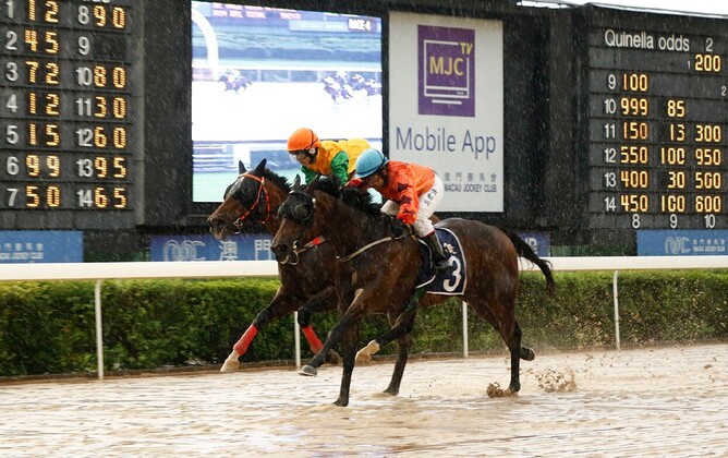 Sport Genius (closest to camera) winning in Macau. Photo: MJC